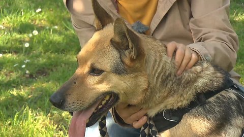 Barrandov pomáhá - Kája